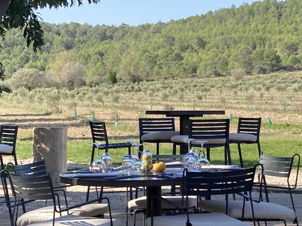 Terrasse-restaurant-plaine